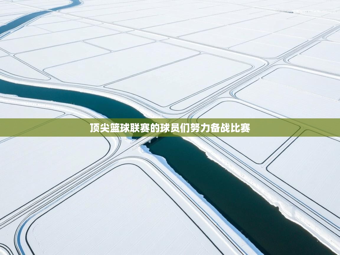 顶尖篮球联赛的球员们努力备战比赛  第1张