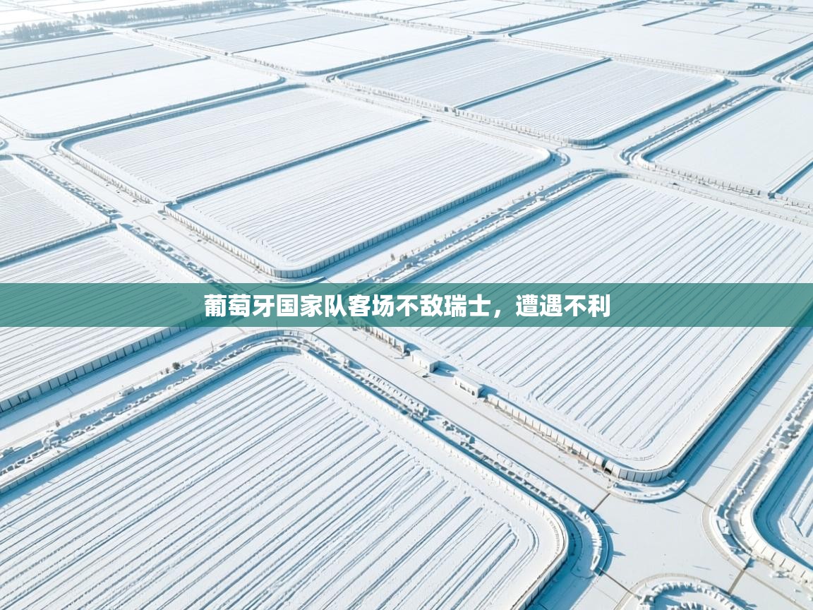 葡萄牙国家队客场不敌瑞士，遭遇不利